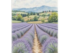 "Lavender Fields 1" Thick Flannel Throw Blanket 320 GSM